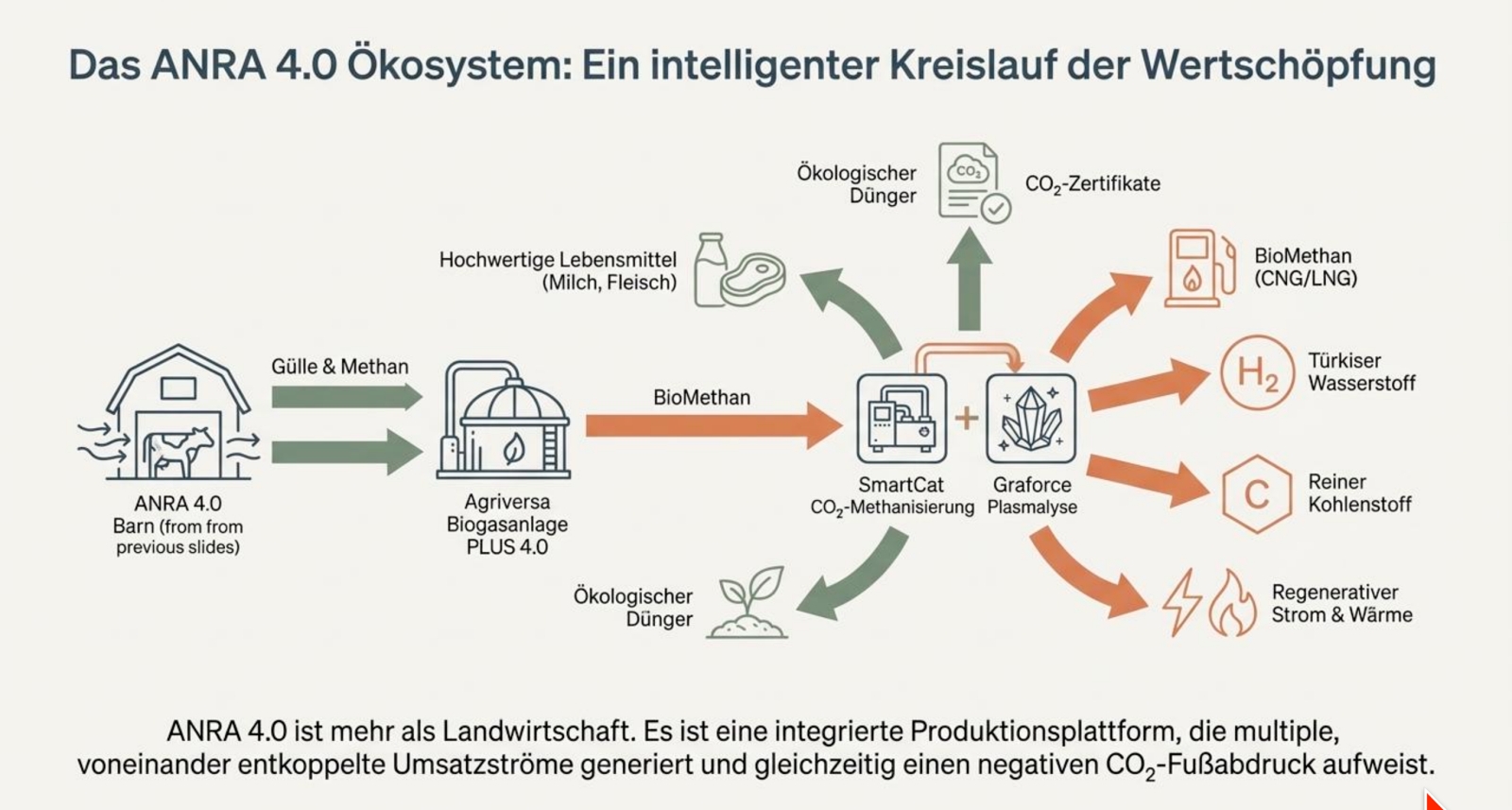 Ökosystem